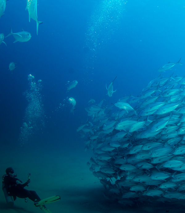 Data management mobile